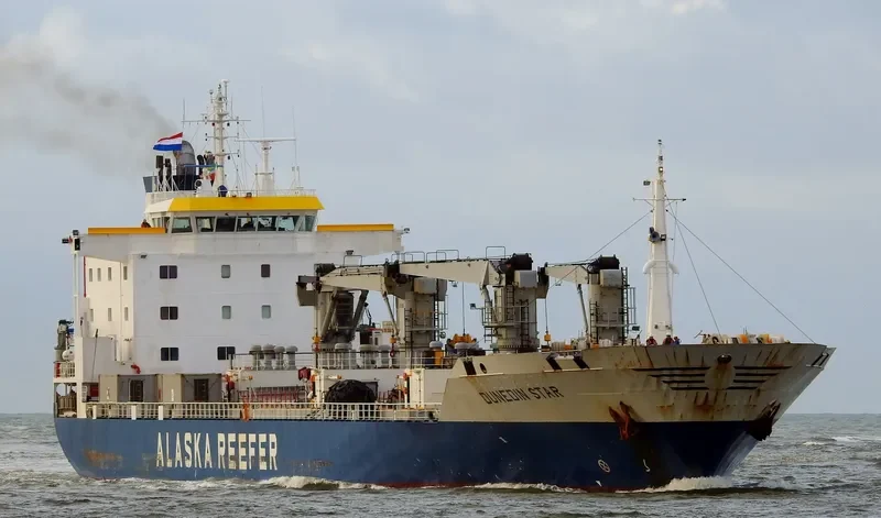 DUNEDIN STAR General Cargo IMO 9038945 photo 5