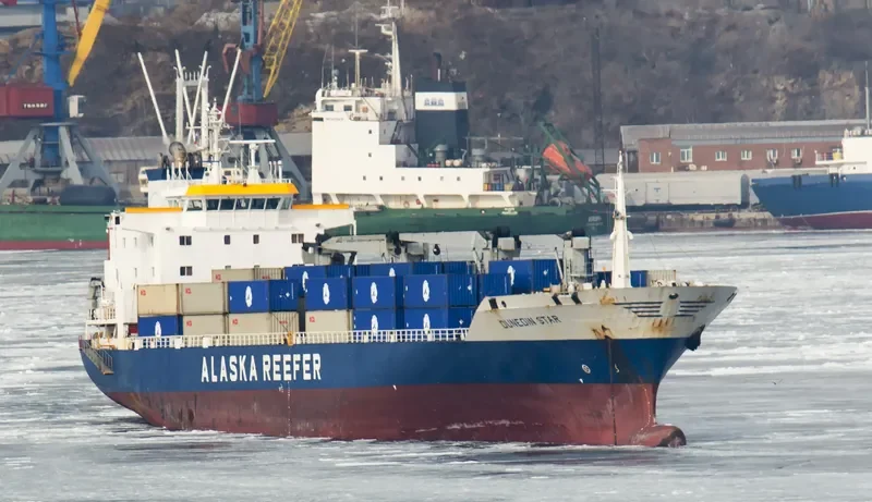DUNEDIN STAR General Cargo IMO 9038945 photo 6