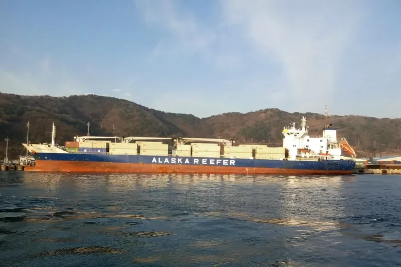 DUNEDIN STAR General Cargo IMO 9038945 photo 8