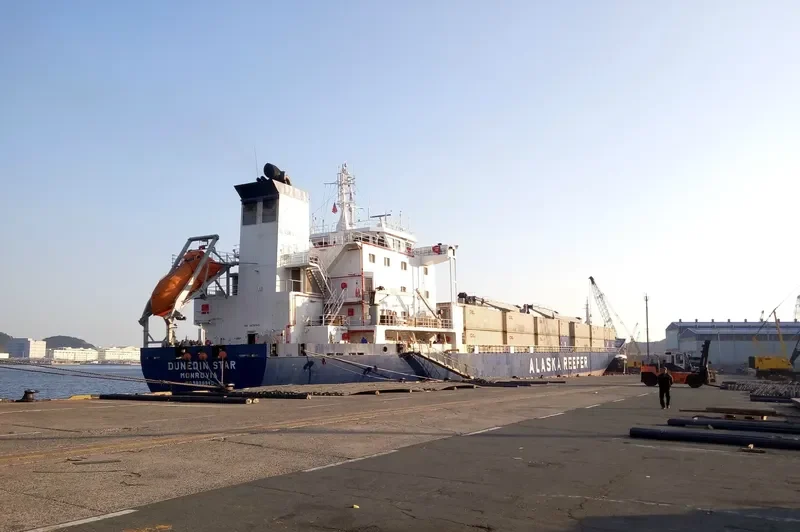 DUNEDIN STAR General Cargo IMO 9038945 photo 9