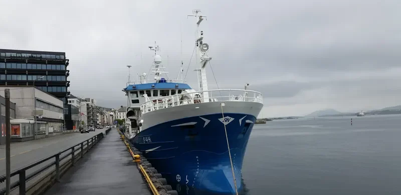 BJARNE NILSEN General Cargo IMO 9038971 photo 7