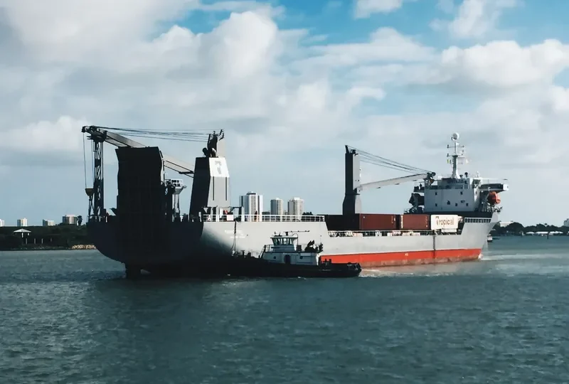TROPIC TIDE Container Ship IMO 9039028 photo 2