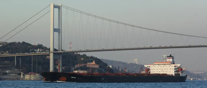 MARTHA Bulk Carrier IMO 9039054 photo 2