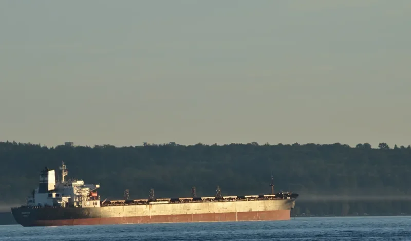 MARTHA Bulk Carrier IMO 9039054 photo 4