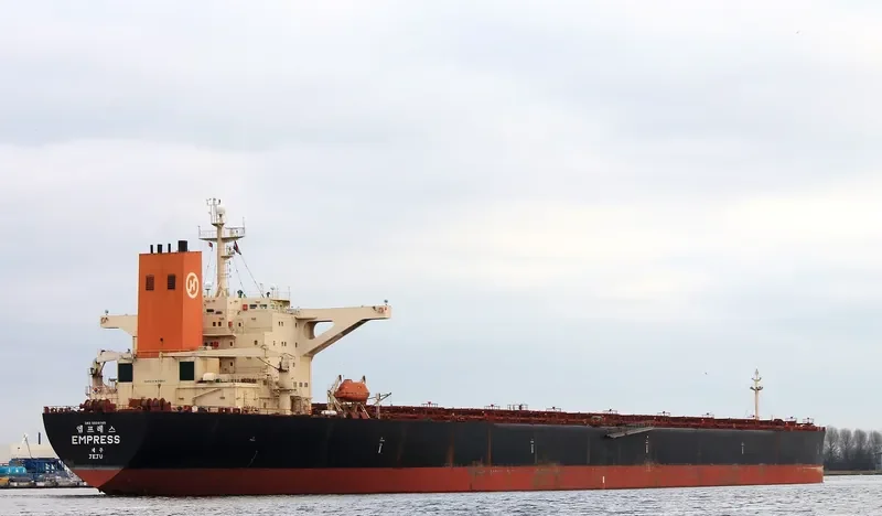 EMPRESS Bulk Carrier IMO 9039145 photo 2