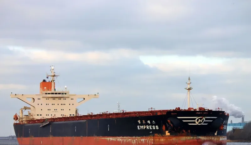 EMPRESS Bulk Carrier IMO 9039145 photo 3