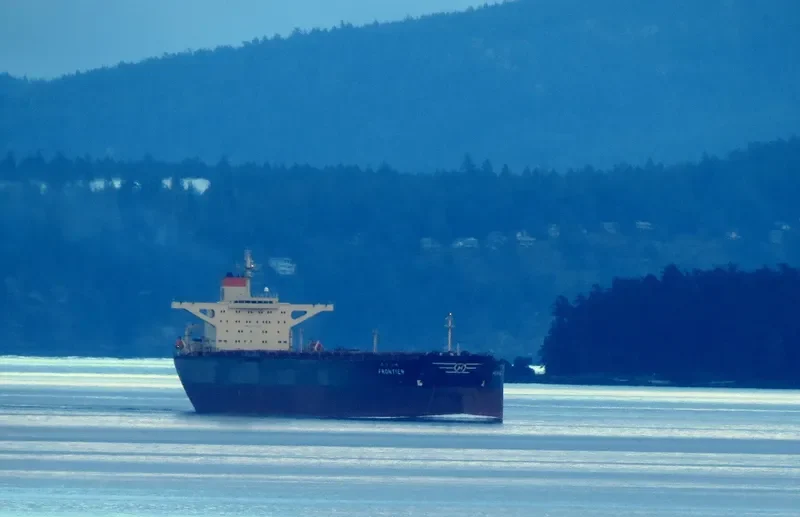 FRONTIER Bulk Carrier IMO 9039157 photo 5