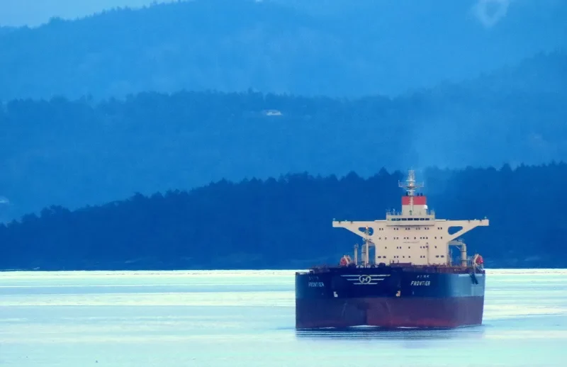 FRONTIER Bulk Carrier IMO 9039157 photo 6