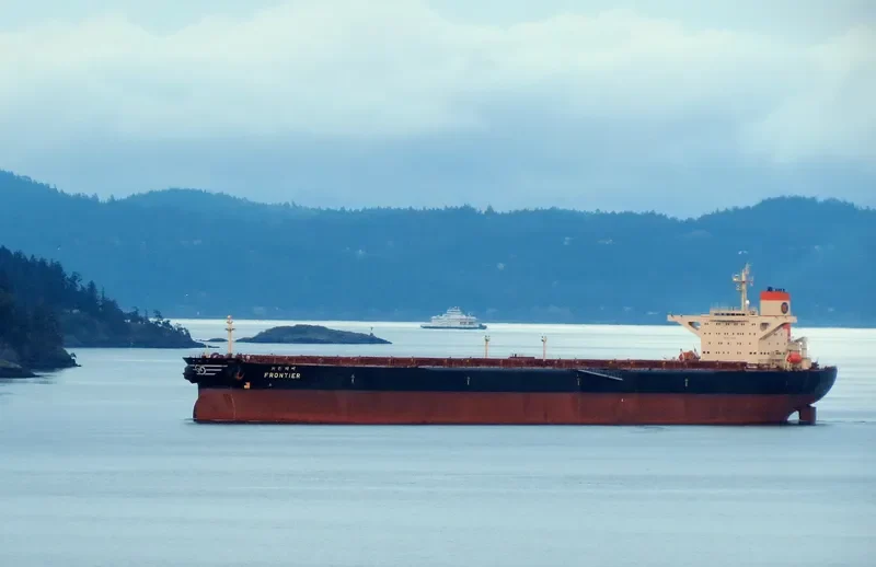 FRONTIER Bulk Carrier IMO 9039157 photo 7