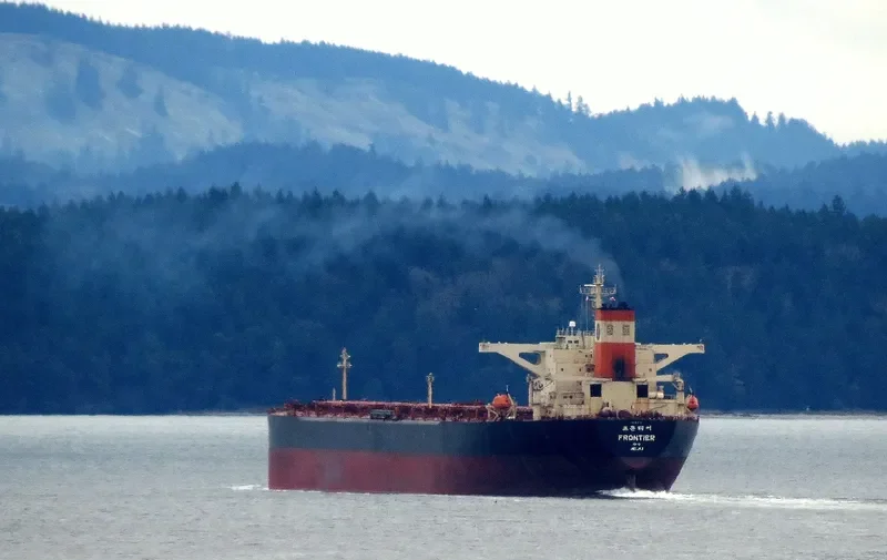 FRONTIER Bulk Carrier IMO 9039157 photo 8