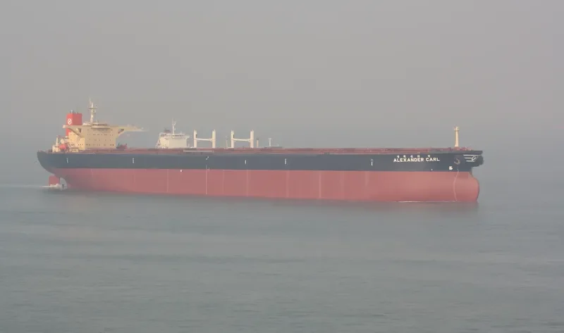 ALEXANDER CARL Bulk Carrier IMO 9039169 photo 2