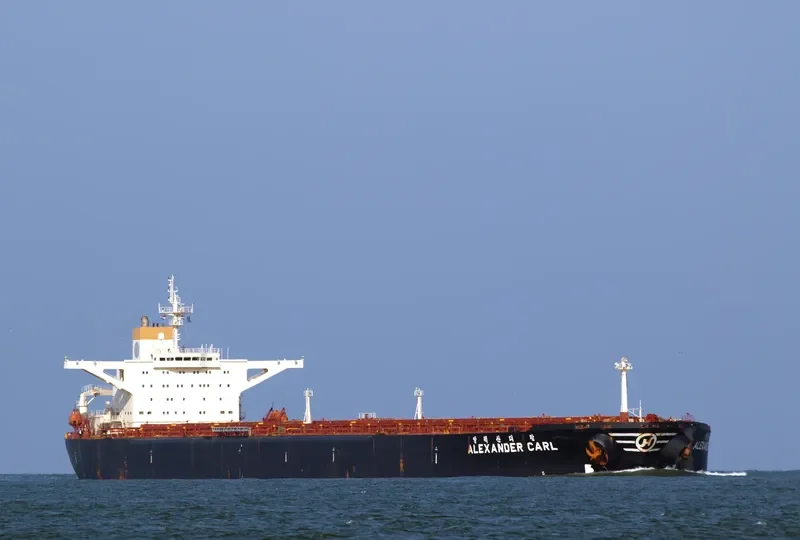 ALEXANDER CARL Bulk Carrier IMO 9039169 photo 4