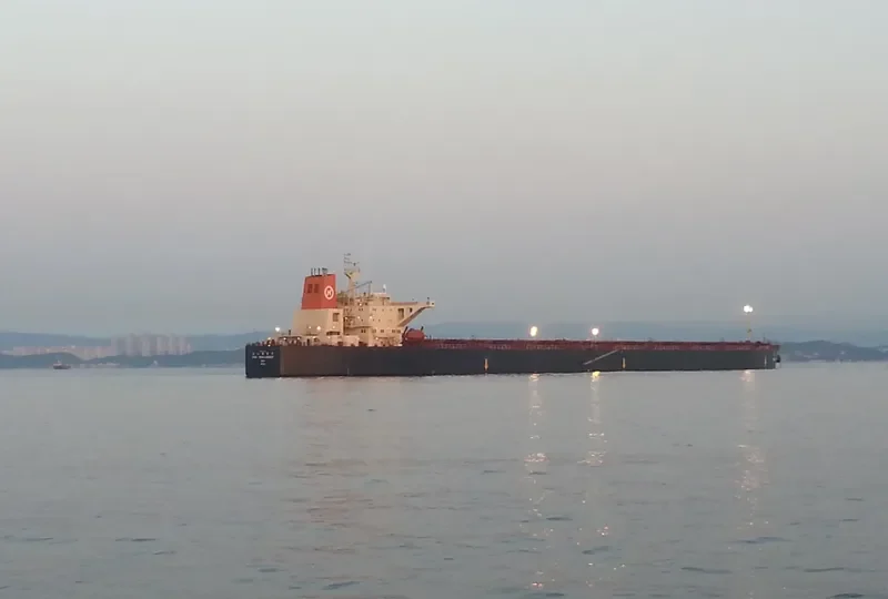 POS CHALLENGER Bulk Carrier IMO 9039171 photo 3