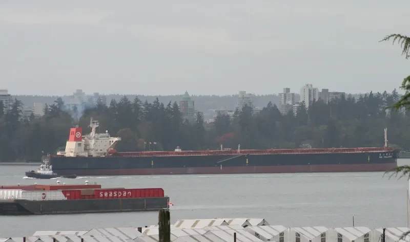 POS CHALLENGER Bulk Carrier IMO 9039171 photo 5