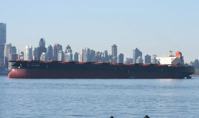 POS CHALLENGER Bulk Carrier IMO 9039171 photo 8
