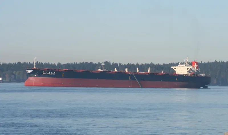 POS CHALLENGER Bulk Carrier IMO 9039171 photo 10
