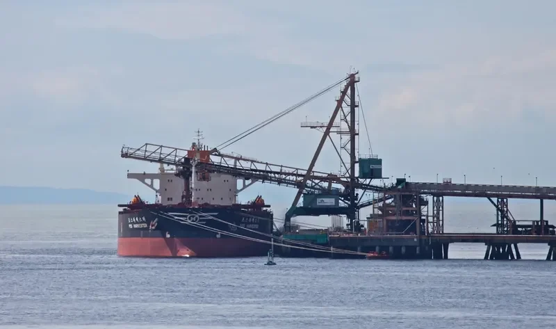 POS HARVESTER Bulk Carrier IMO 9039183 photo 6