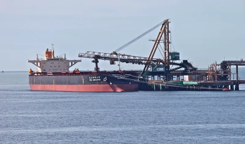 POS HARVESTER Bulk Carrier IMO 9039183 photo 7