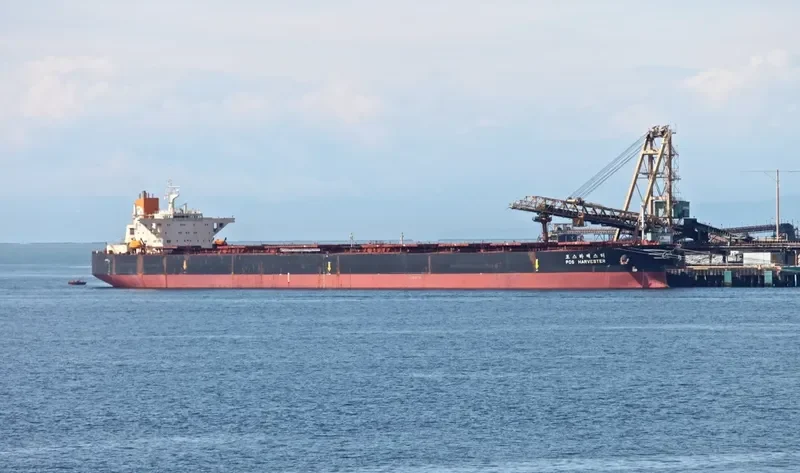 POS HARVESTER Bulk Carrier IMO 9039183 photo 9