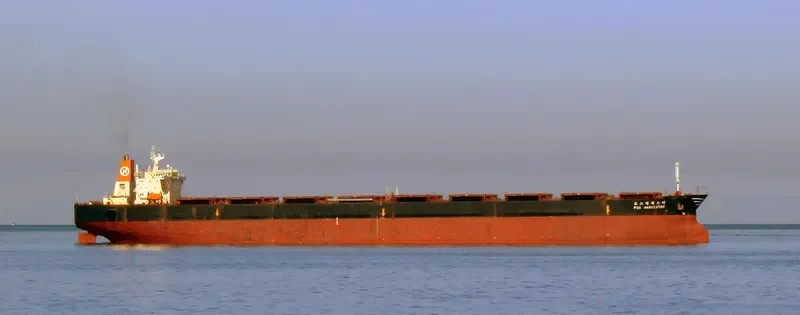 POS HARVESTER Bulk Carrier IMO 9039183 photo 10