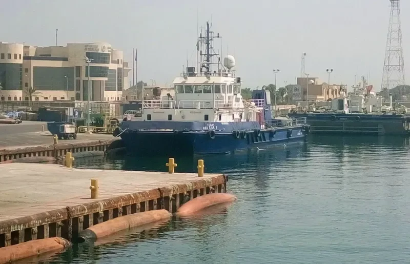 AIN DAR 7 General Cargo IMO 9039236