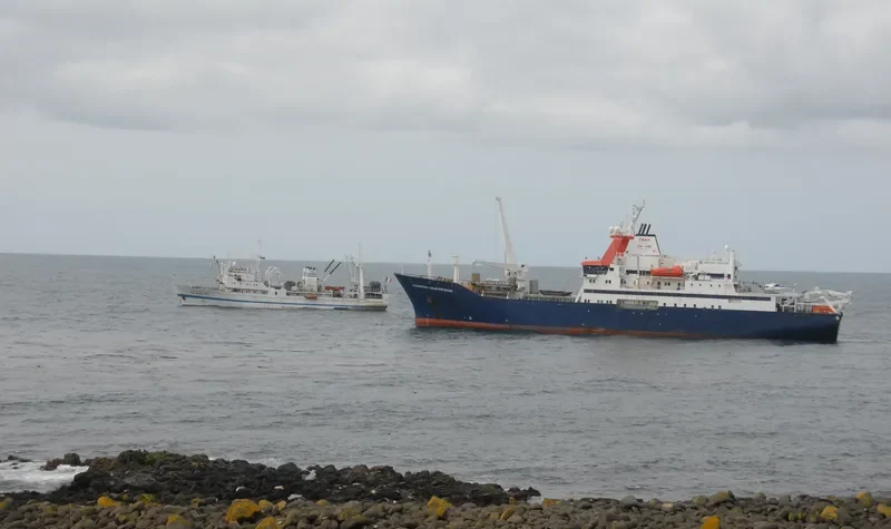 AUSTRAL General Cargo IMO 9039262 photo 8