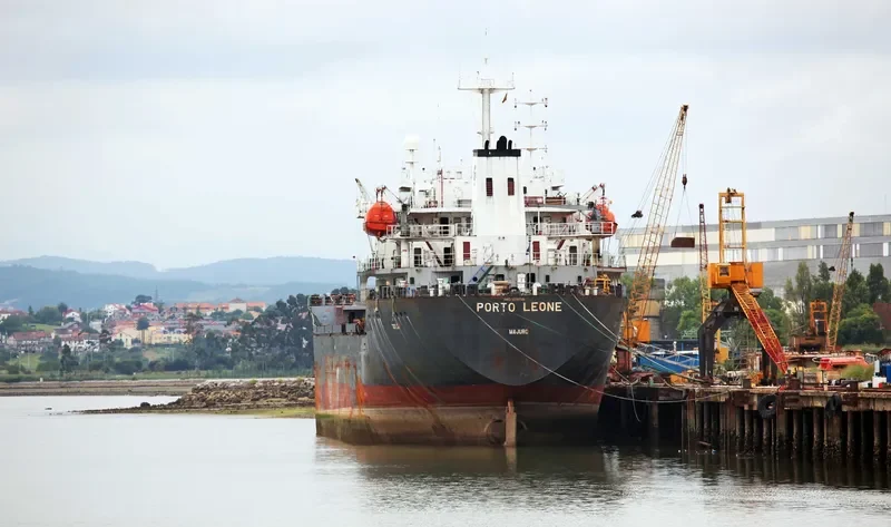 PORTO LEONE Bulk Carrier IMO 9039339 photo 6