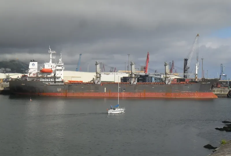 PORTO LEONE Bulk Carrier IMO 9039339 photo 7