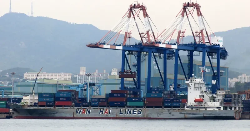 WAN CHAI 4 Container Ship IMO 9039561 photo 7