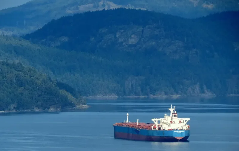 ANANGEL SOLIDARITY Bulk Carrier IMO 9039652
