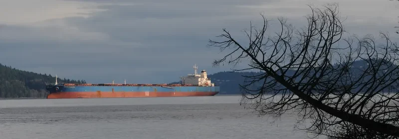 ANANGEL SOLIDARITY Bulk Carrier IMO 9039652 photo 4