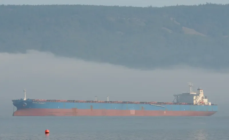 ANANGEL SOLIDARITY Bulk Carrier IMO 9039652 photo 5