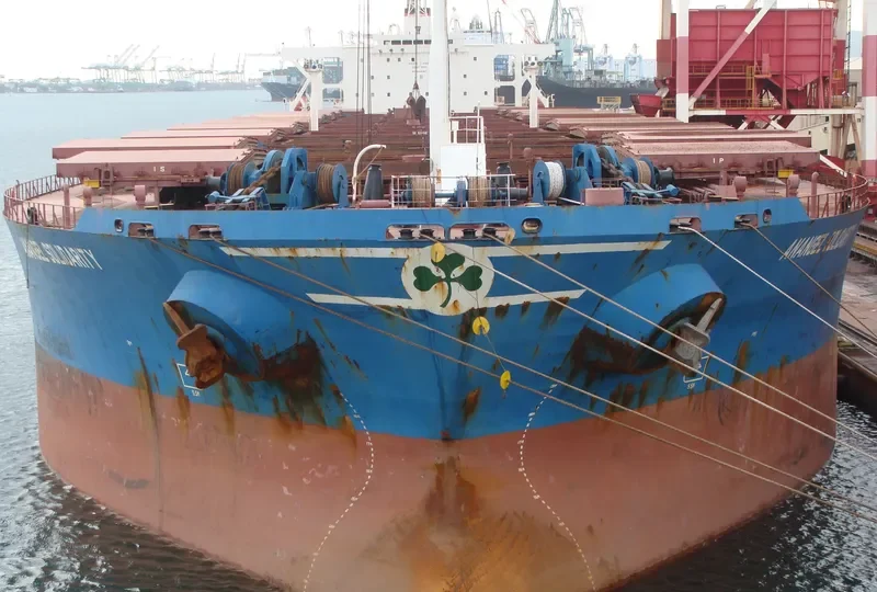 ANANGEL SOLIDARITY Bulk Carrier IMO 9039652 photo 10