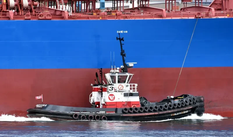 CHARLES H.CATES III General Cargo IMO 9039987 photo 9