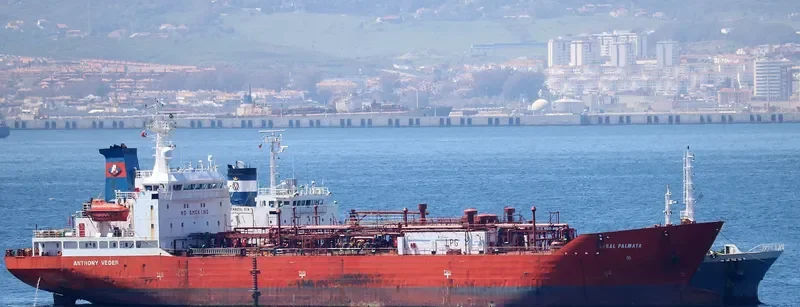 CORAL PALMATA General Cargo IMO 9040118