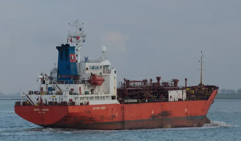 CORAL PALMATA General Cargo IMO 9040118 photo 2