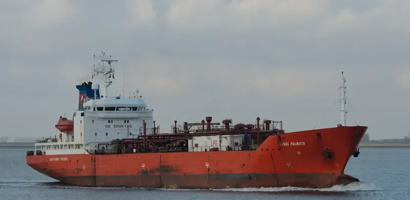 CORAL PALMATA General Cargo IMO 9040118 photo 3