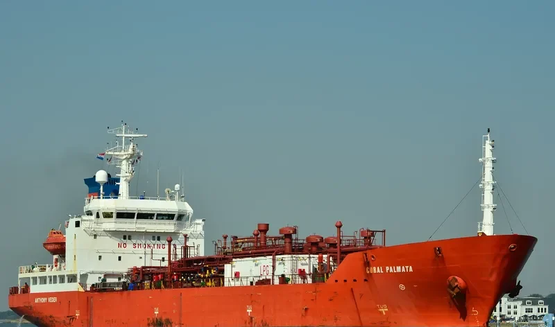 CORAL PALMATA General Cargo IMO 9040118 photo 5