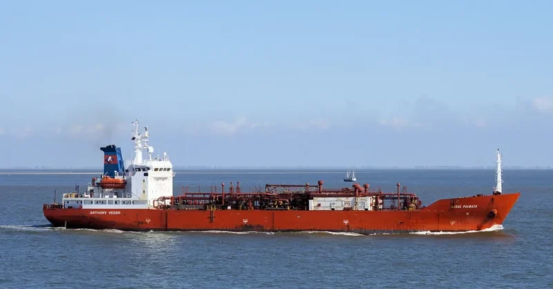 CORAL PALMATA General Cargo IMO 9040118 photo 8