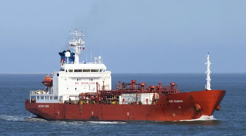 CORAL PALMATA General Cargo IMO 9040118 photo 9