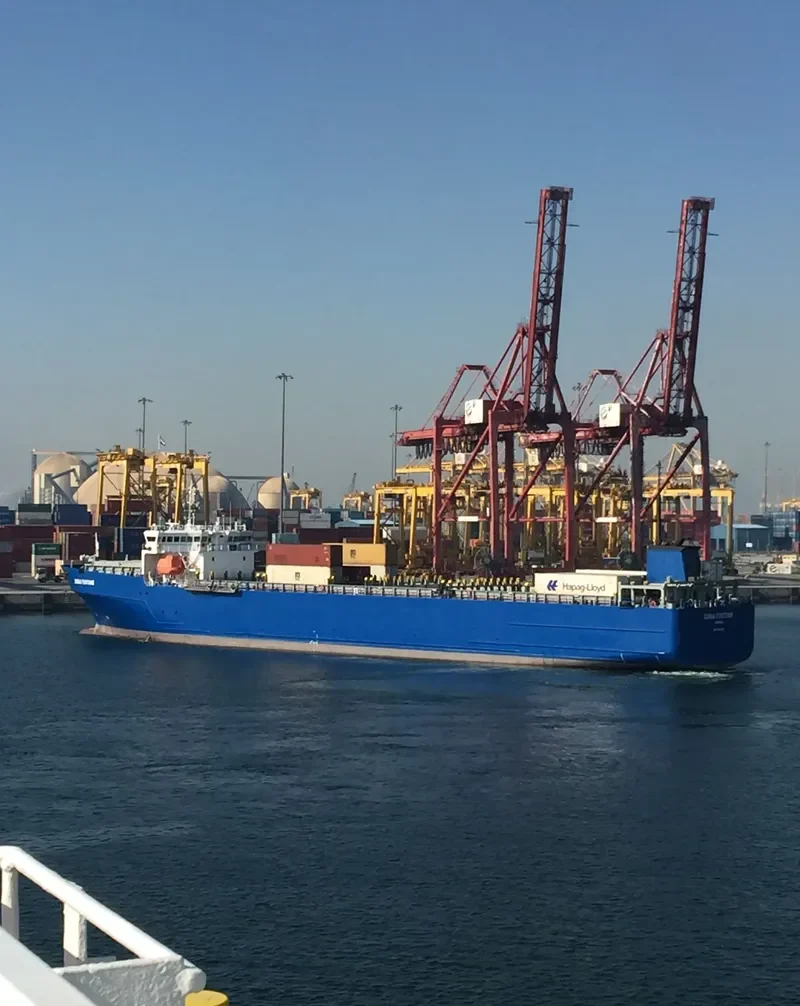 DUBAI FORTUNE Container Ship IMO 9040120