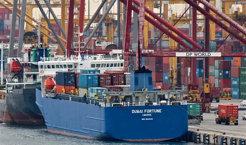 DUBAI FORTUNE Container Ship IMO 9040120 photo 2