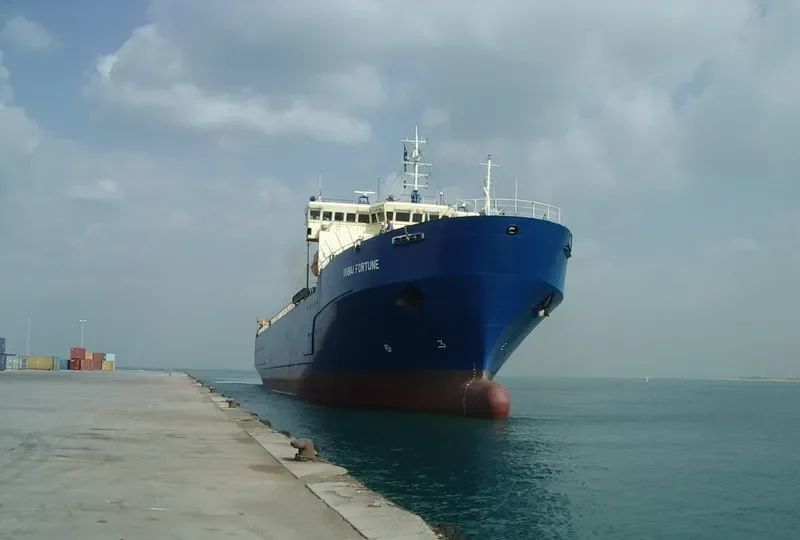 DUBAI FORTUNE Container Ship IMO 9040120 photo 4