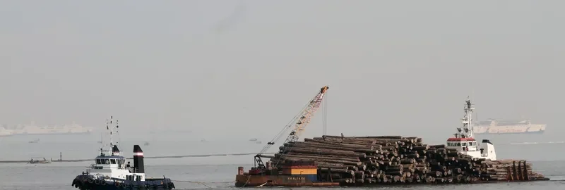 BURUNG CAMAR 8 General Cargo IMO 9040144 photo 2