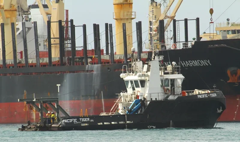 PACIFIC TIGER General Cargo IMO 9040209 photo 4