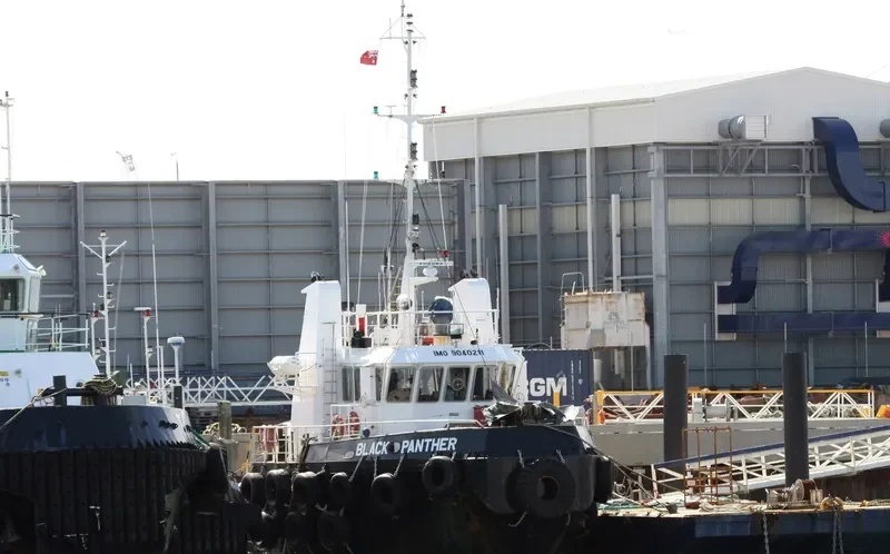 BLACK PANTHER General Cargo IMO 9040211