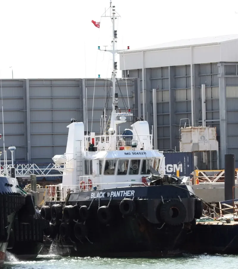 BLACK PANTHER General Cargo IMO 9040211 photo 2