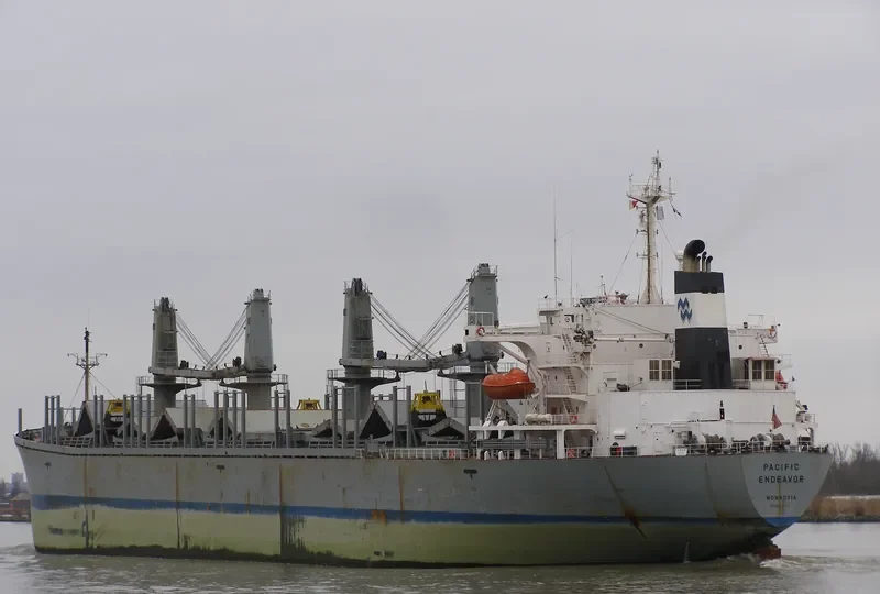 PACIFIC ENDEAVOR Bulk Carrier IMO 9040352