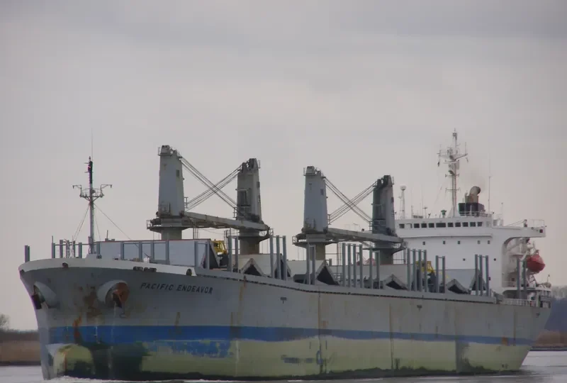 PACIFIC ENDEAVOR Bulk Carrier IMO 9040352 photo 2