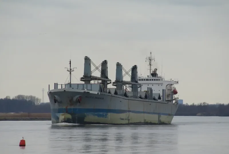 PACIFIC ENDEAVOR Bulk Carrier IMO 9040352 photo 5